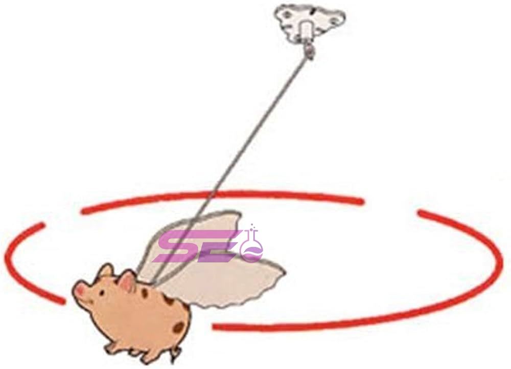 Flying Pig Centripetal Force
